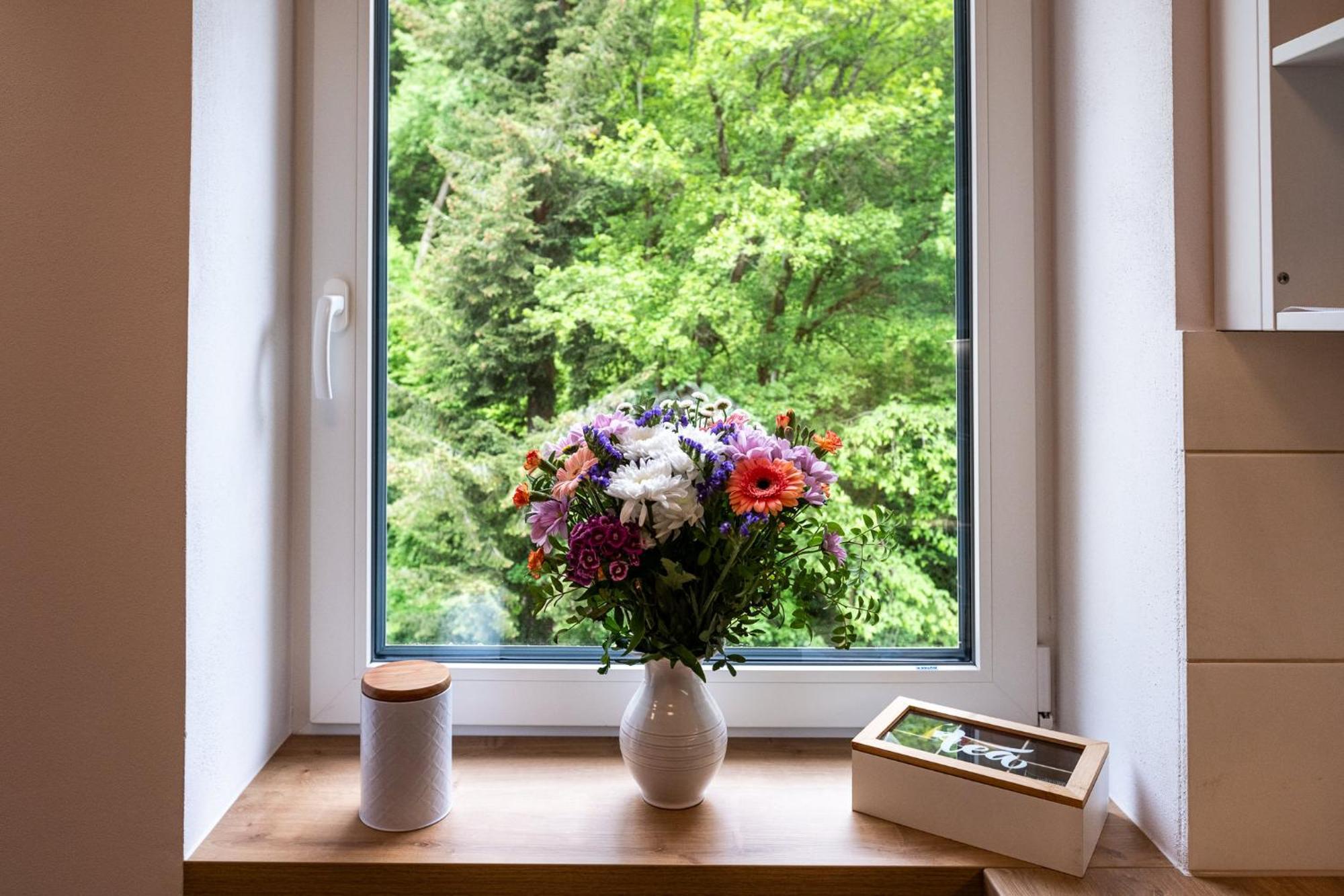 Apartmán Mandala Jáchymov Exteriér fotografie